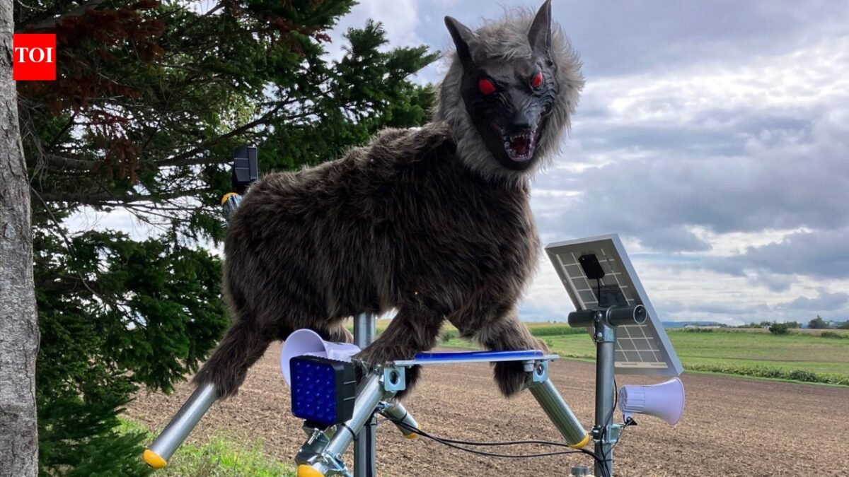 Why Japan's terrifying 'robot wolf' is popular in bear attacks