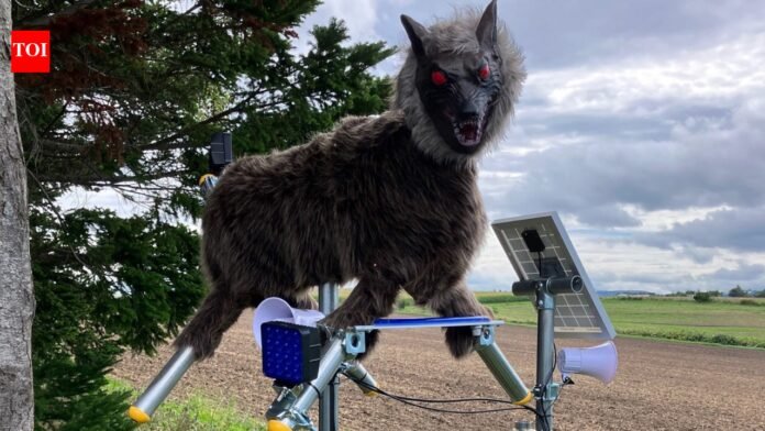 Why Japan's terrifying 'robot wolf' is popular in bear attacks

