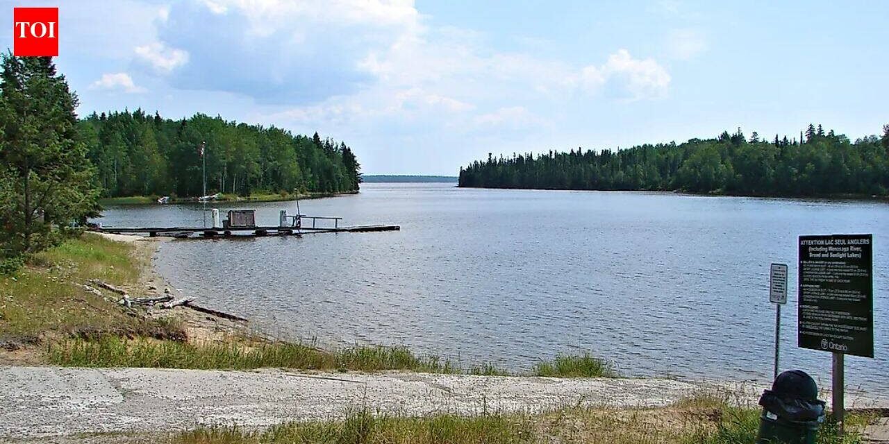 10 Largest Artificial Lakes in Canada: La Grande-3 Reservoir, Lac Seul, Williston Lake and More | World News
