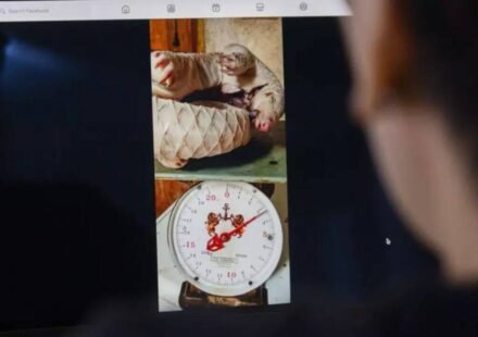 20,000 ads, 2,60,000 products: Report exposes Meta’s wildlife trafficking market