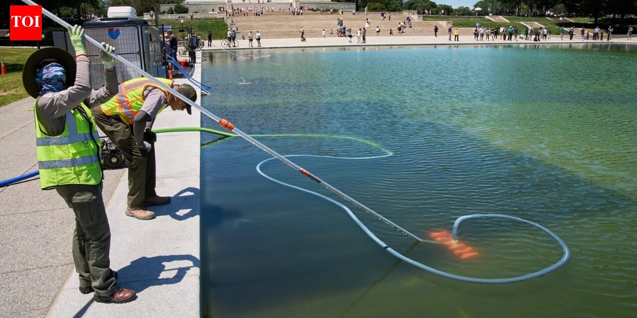 '250-foot deep wound, dumped chemicals': Donald Trump claims vandals damaged reflecting pool