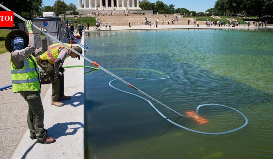 '250-foot deep wound, dumped chemicals': Donald Trump claims vandals damaged reflecting pool