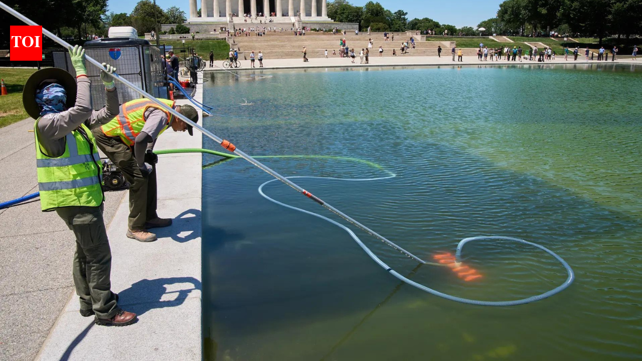 '250-foot deep wound, dumped chemicals': Donald Trump claims vandals damaged reflecting pool