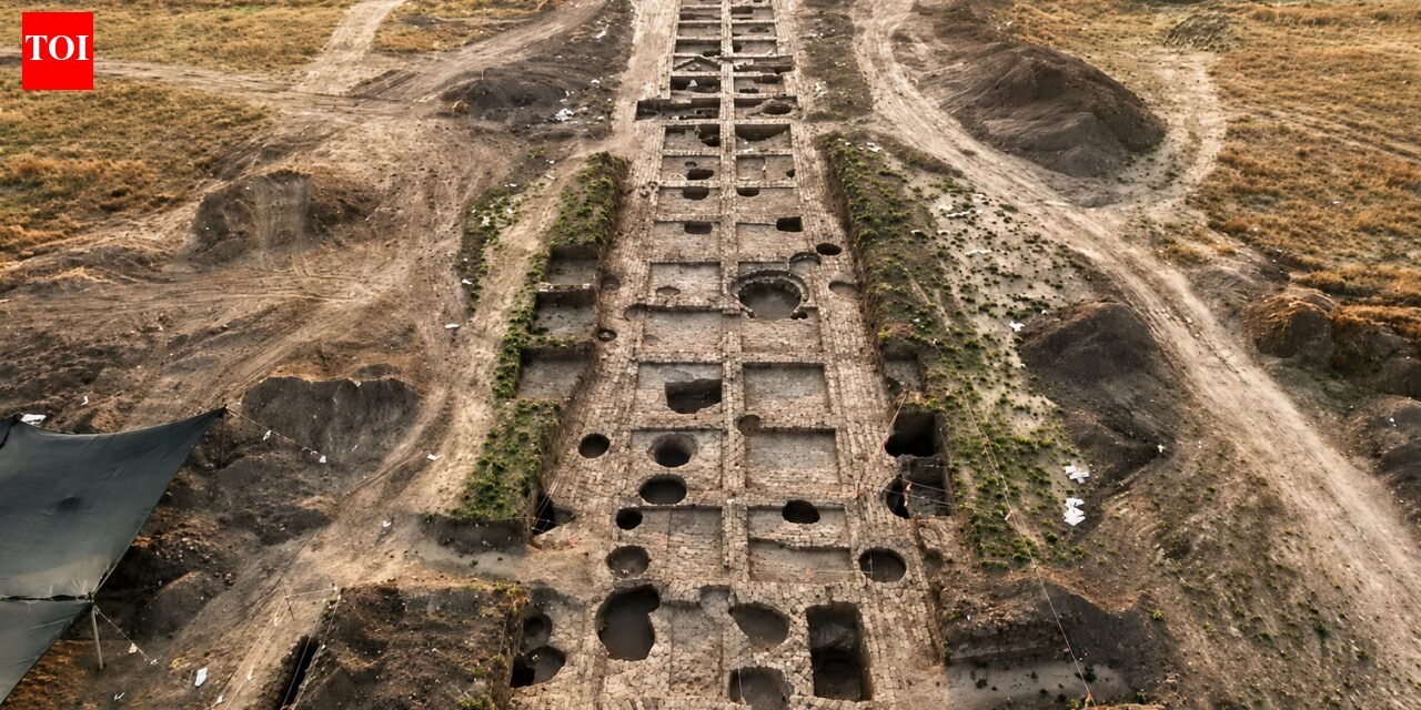 5,500-year-old Canaanite blade factory discovered in Israel reveals surprisingly advanced society | World News