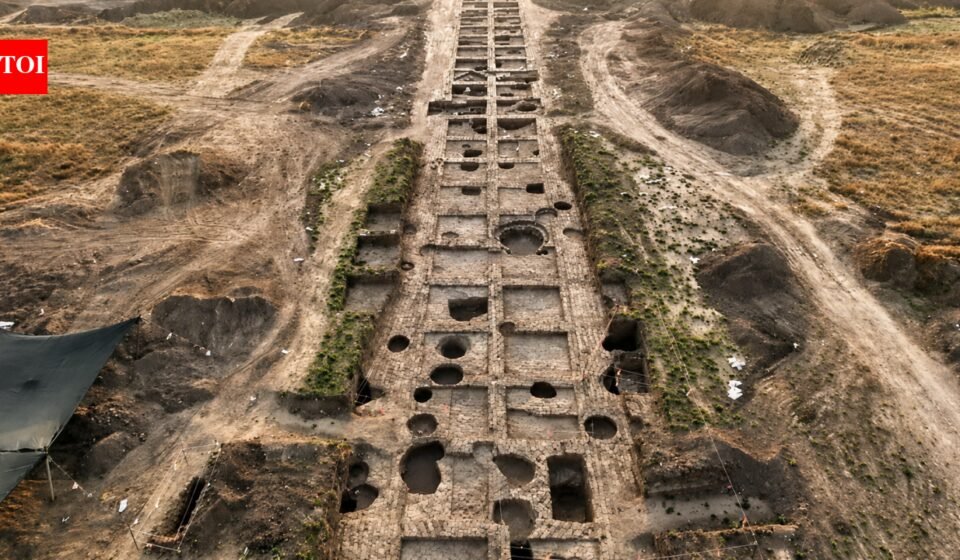 5,500-year-old Canaanite blade factory discovered in Israel reveals surprisingly advanced society | World News
