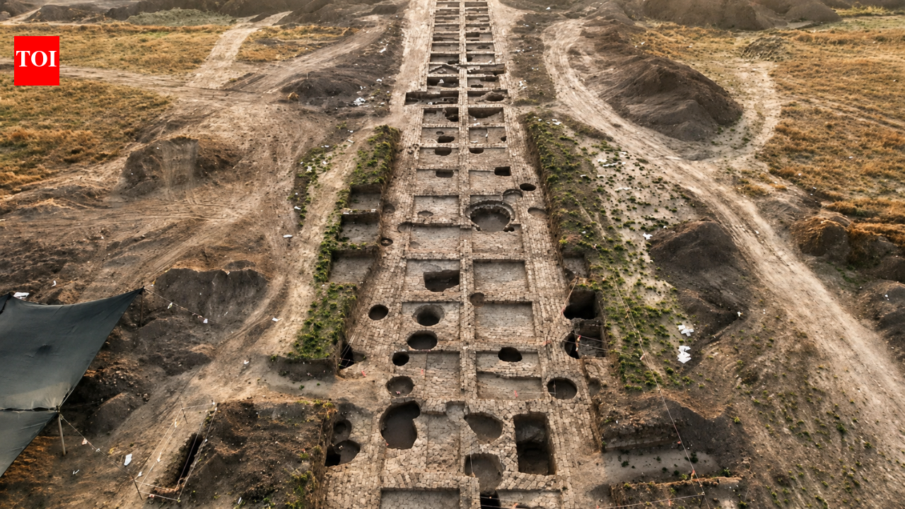 5,500-year-old Canaanite blade factory discovered in Israel reveals surprisingly advanced society | World News