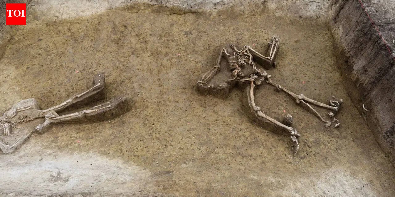 77 headless skeletons unearthed in Europe's most mysterious Neolithic cemetery in Slovakia World News
