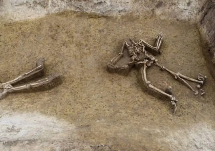 77 headless skeletons unearthed in Europe's most mysterious Neolithic cemetery in Slovakia World News