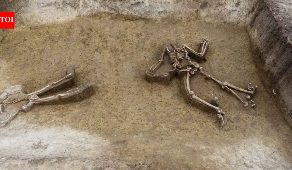 77 headless skeletons unearthed in Europe's most mysterious Neolithic cemetery in Slovakia World News