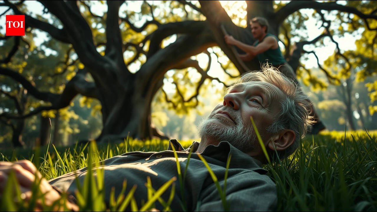 A Nigerian proverb of the time: "What an old man can see when he lies down, a young man cannot see even if he climbs a tree" is a lesson in experience, judgment and wisdom