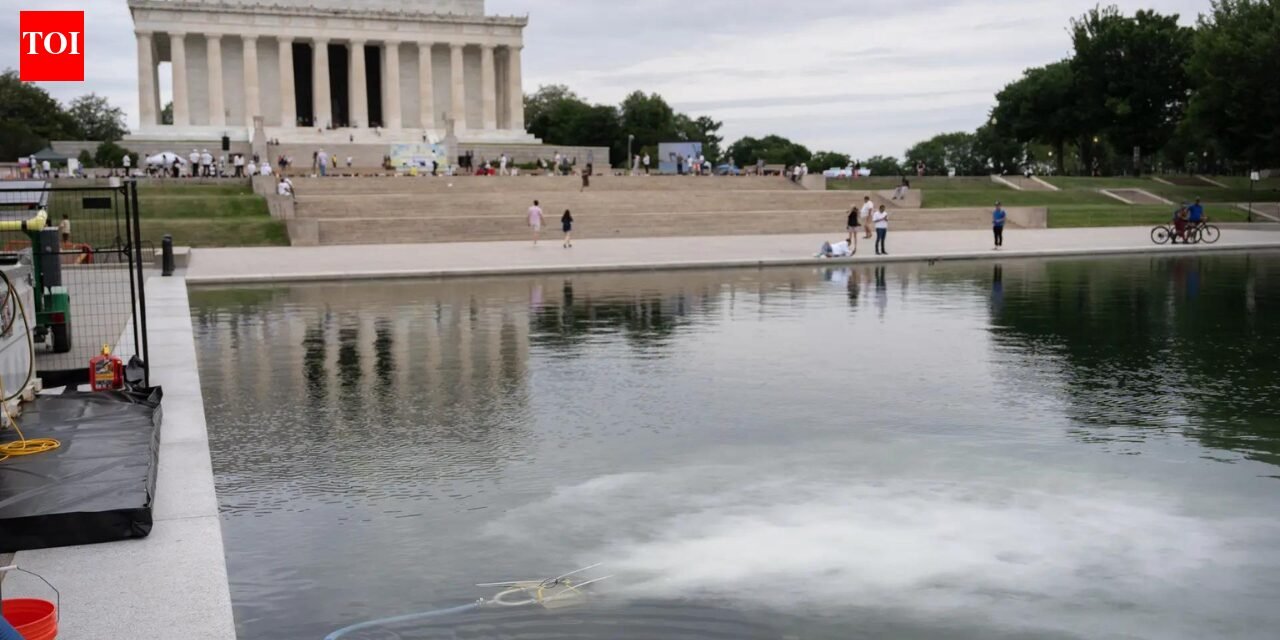 America@250 surrounded by red, white, blue and green algae