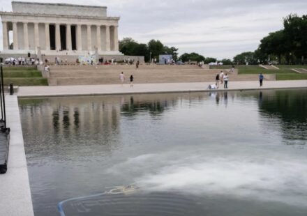 America@250 surrounded by red, white, blue and green algae