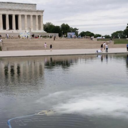 America@250 surrounded by red, white, blue and green algae