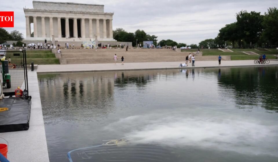 America@250 surrounded by red, white, blue and green algae