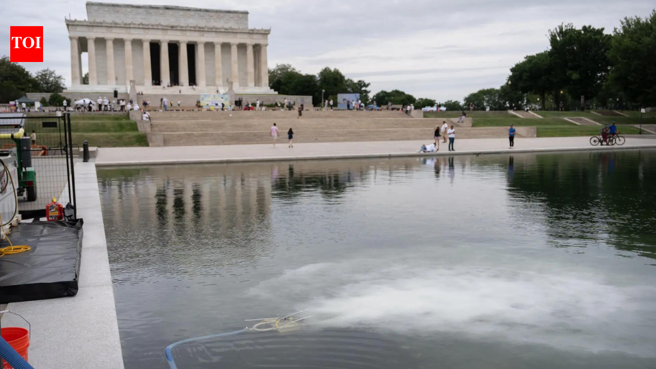 America@250 surrounded by red, white, blue and green algae