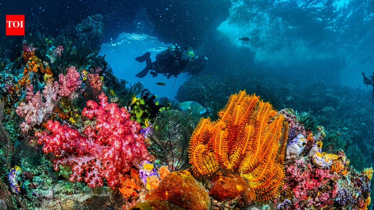 As rocks transform the seafloor, melting icebergs create new deep-sea habitats 2,500 meters below the Arctic Ocean |