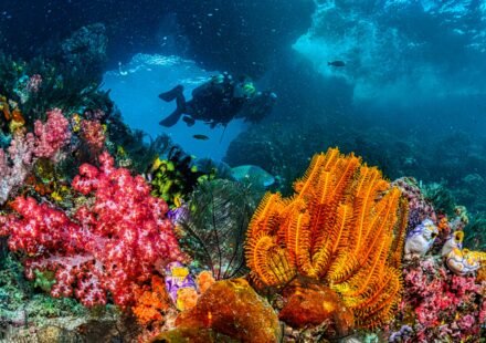 As rocks transform the seafloor, melting icebergs create new deep-sea habitats 2,500 meters below the Arctic Ocean |