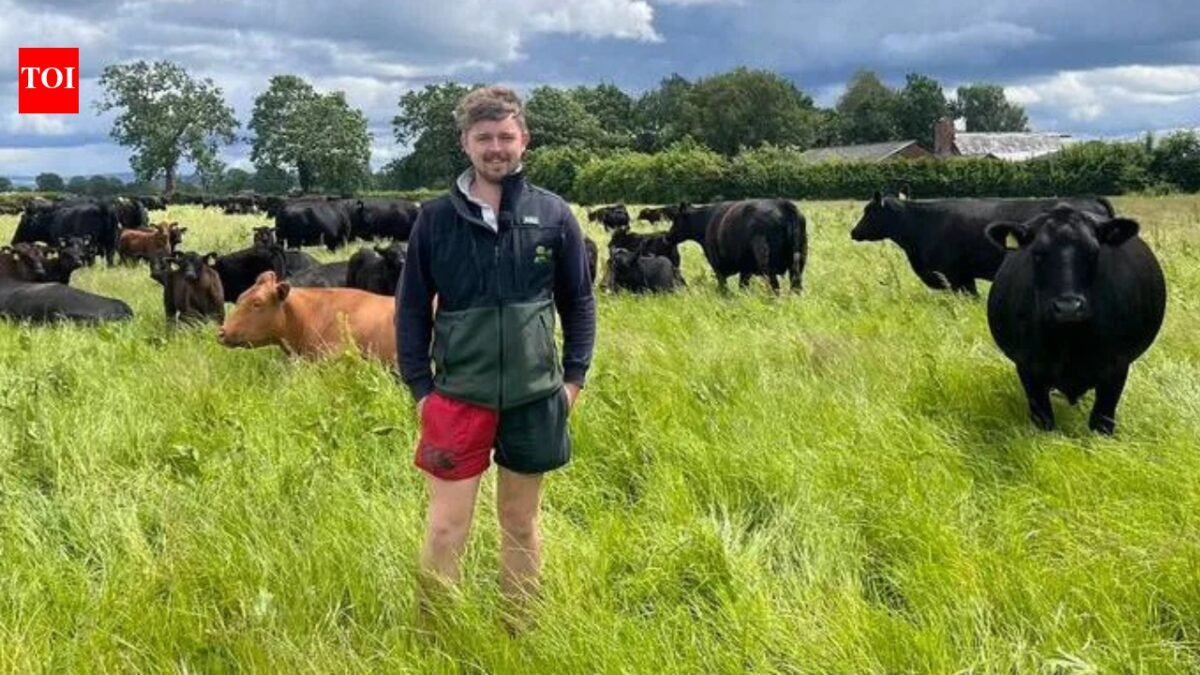 At 10 he wrote a letter to a farmer asking for work experience and 13 years later he's helping to run the business: Meet Jack Ancell | World News