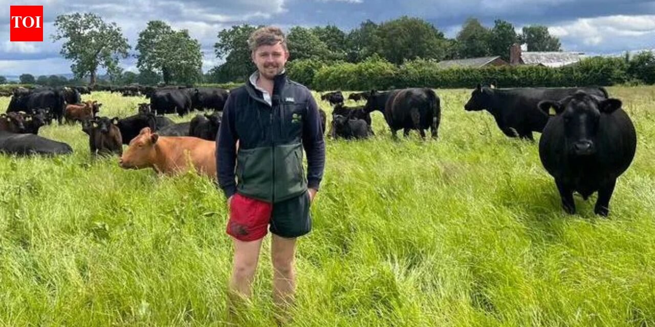 At 10 he wrote a letter to a farmer asking for work experience and 13 years later he's helping to run the business: Meet Jack Ancell | World News