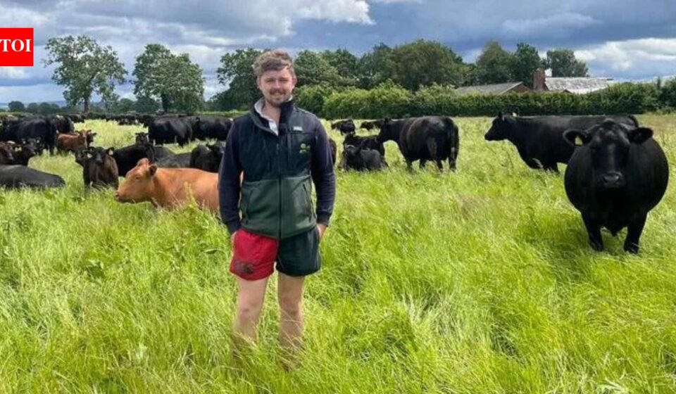 At 10 he wrote a letter to a farmer asking for work experience and 13 years later he's helping to run the business: Meet Jack Ancell | World News