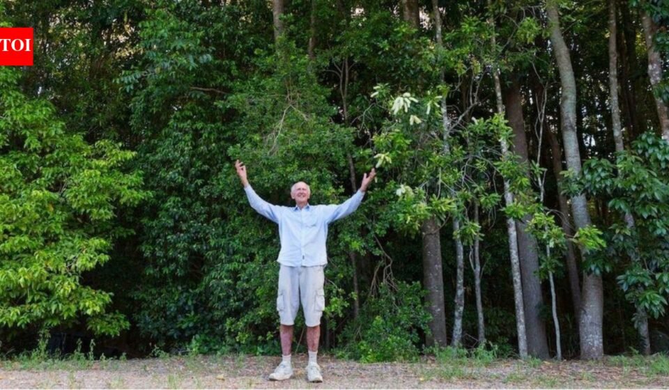 Australia lost 99% of its rainforest and a retired banker spent 30 years helping restore it: Meet Tony Parkes | World News
