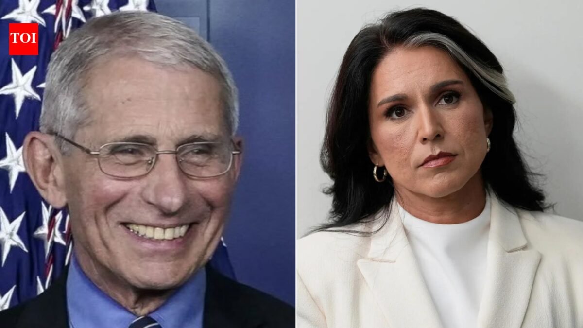 Biden aides funded Wuhan lab to 'manipulate' Covid-19 assessments? Tulsi Gabbard's 'explosive' claims