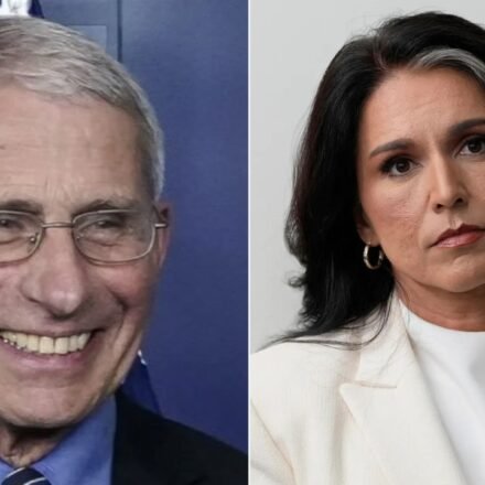Biden aides funded Wuhan lab to 'manipulate' Covid-19 assessments? Tulsi Gabbard's 'explosive' claims