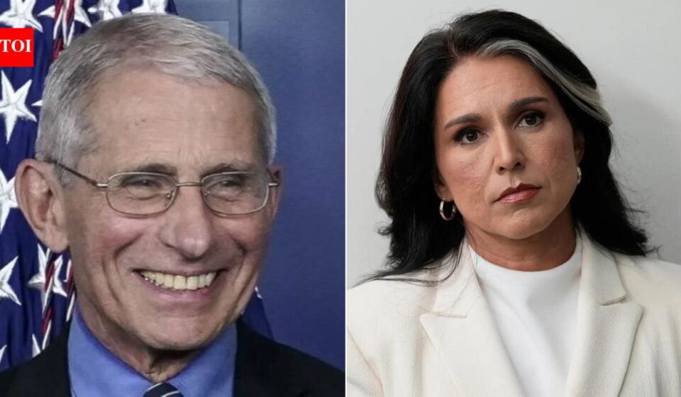 Biden aides funded Wuhan lab to 'manipulate' Covid-19 assessments? Tulsi Gabbard's 'explosive' claims