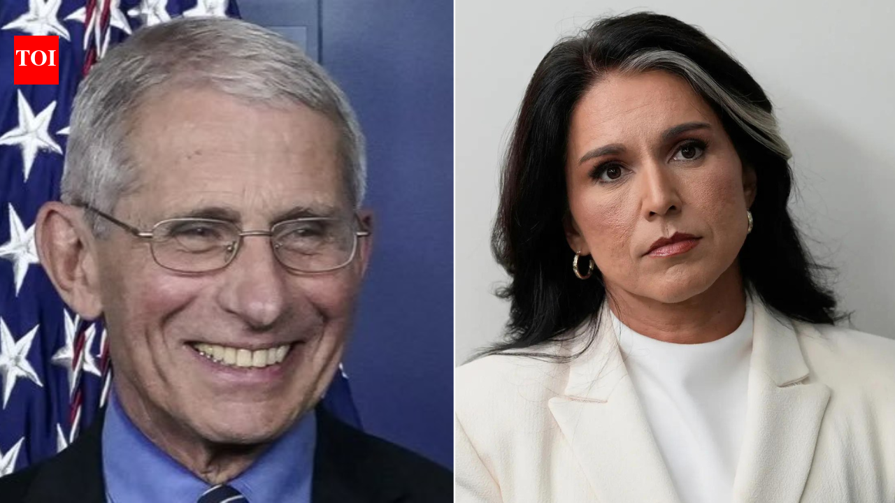 Biden aides funded Wuhan lab to 'manipulate' Covid-19 assessments? Tulsi Gabbard's 'explosive' claims