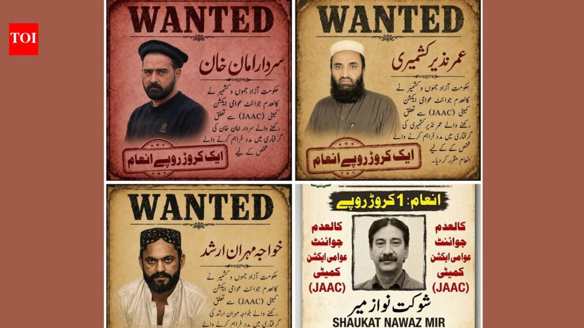 BoK protests: Pakistan launches manhunt for four BoK protesters after crackdown kills 19 children and 7 pregnant women