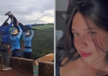 Brazilian bungee jumper who fell 130ft without ropes was still alive when rescuers arrived, nurse says 'I even spoke to her'
