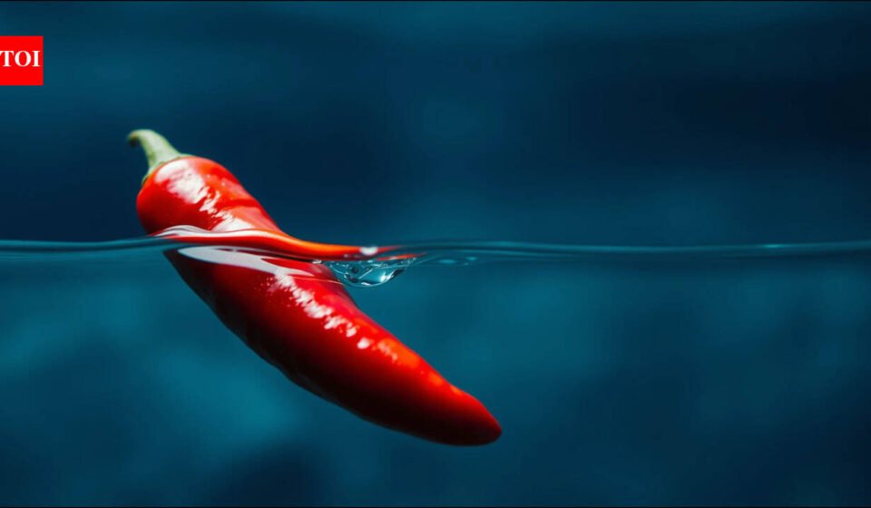 Burmese proverb: “A true chili pepper remains spicy seven fathoms underwater” reminds us how true character shines through in all situations
