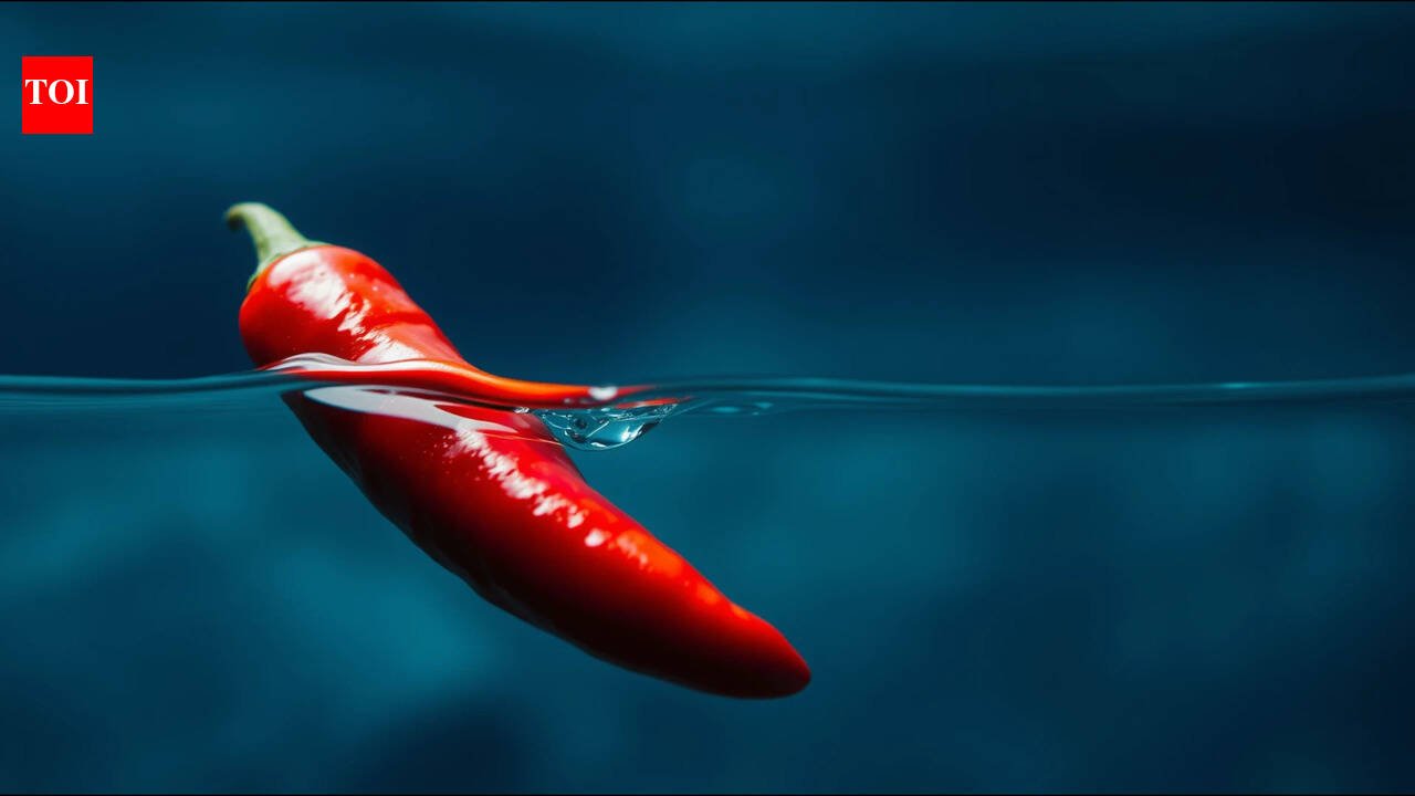 Burmese proverb: “A true chili pepper remains spicy seven fathoms underwater” reminds us how true character shines through in all situations