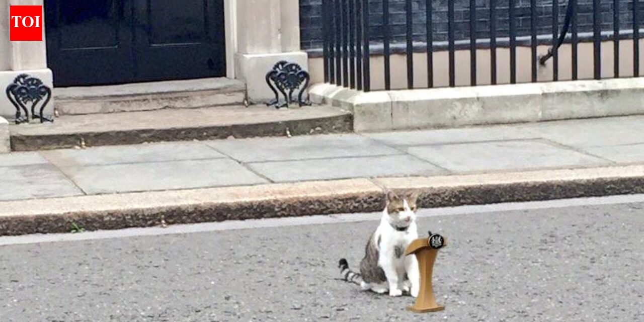 'Chief Mousecatcher' Larry Cat still awaits Prime Minister No. 7 as Keir Starmer calls it quits