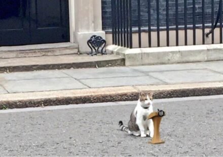 'Chief Mousecatcher' Larry Cat still awaits Prime Minister No. 7 as Keir Starmer calls it quits