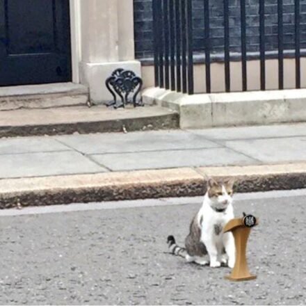 'Chief Mousecatcher' Larry Cat still awaits Prime Minister No. 7 as Keir Starmer calls it quits