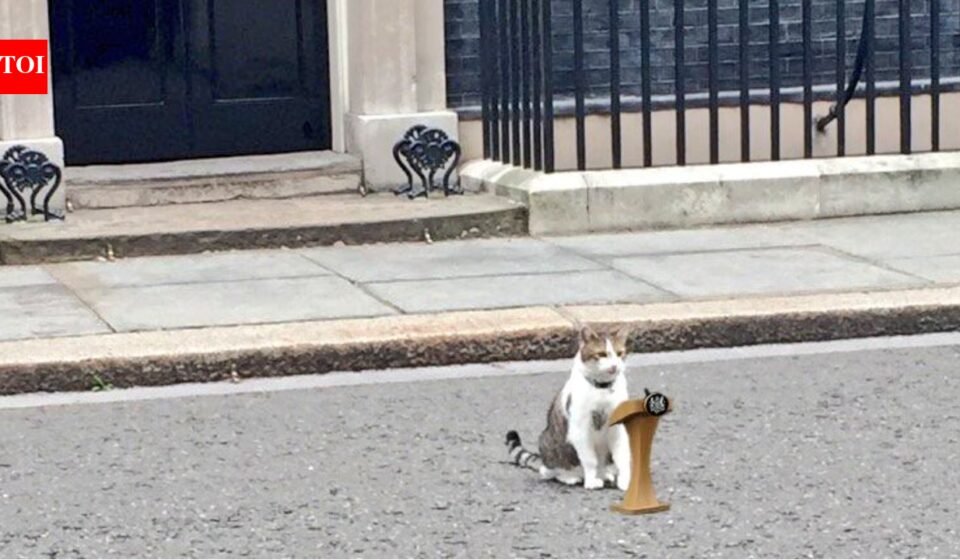 'Chief Mousecatcher' Larry Cat still awaits Prime Minister No. 7 as Keir Starmer calls it quits
