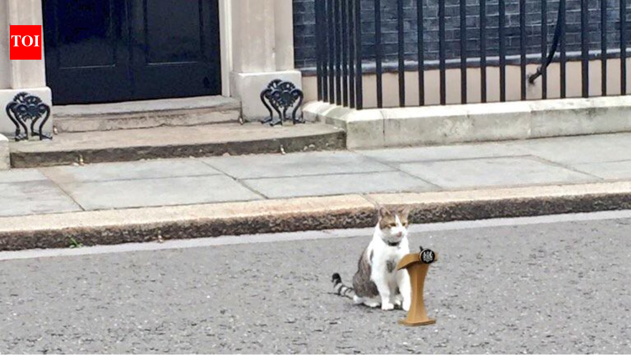 'Chief Mousecatcher' Larry Cat still awaits Prime Minister No. 7 as Keir Starmer calls it quits