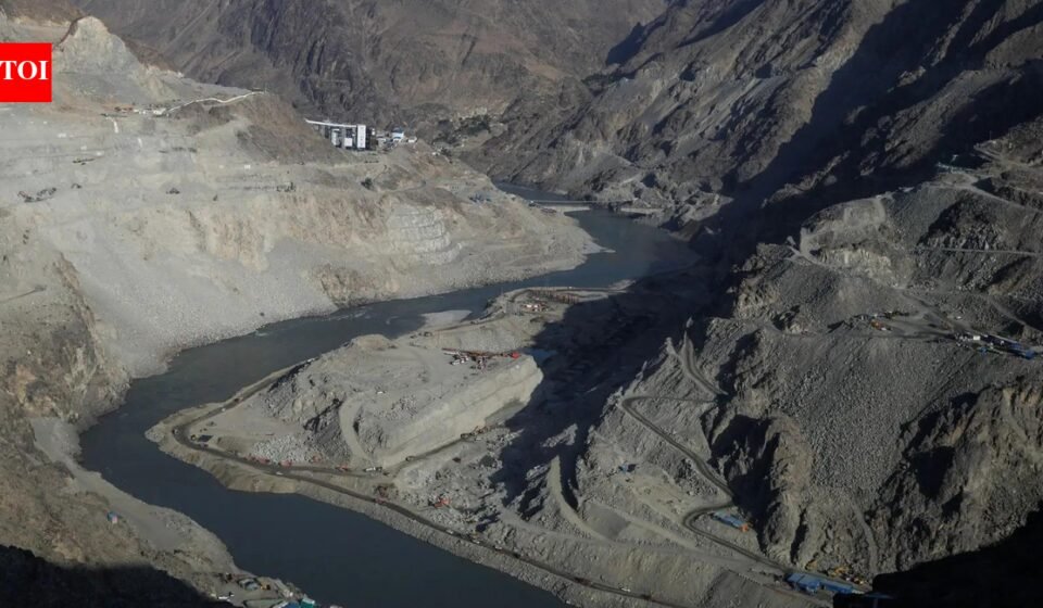 Consequences of the Indus Waters Treaty? Sindh and Balochistan face water crisis, nearly a third of Pakistan in trouble