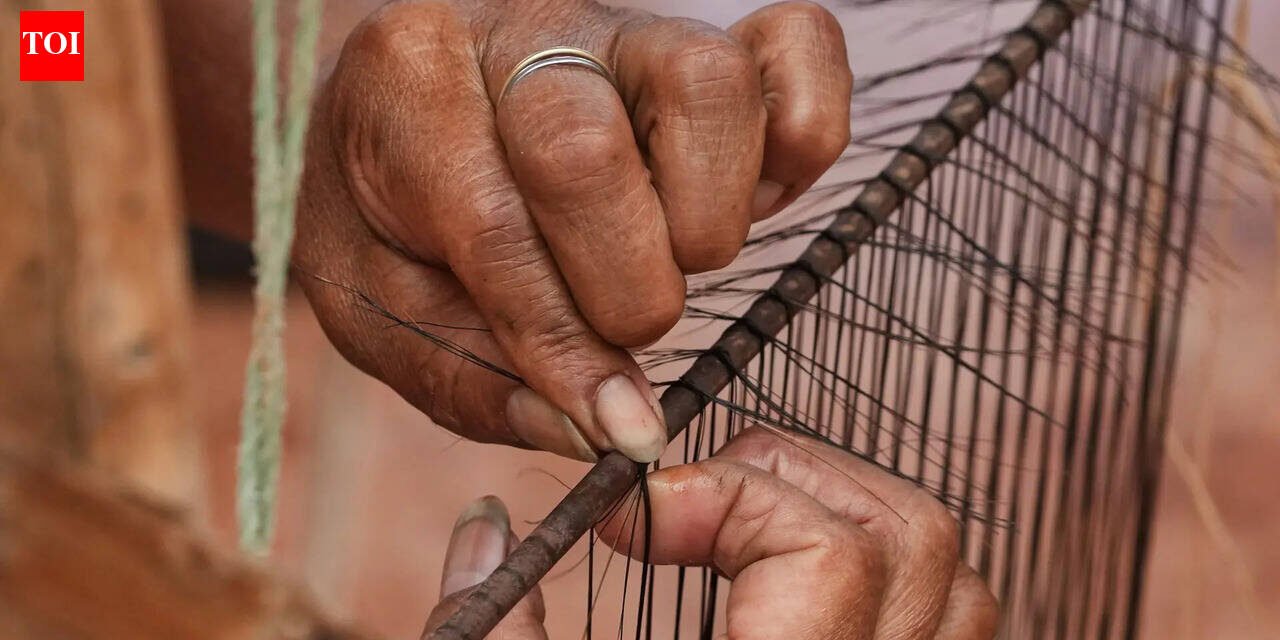 Ecuadorian artisans work to preserve traditional craft of weaving horsehair filters
