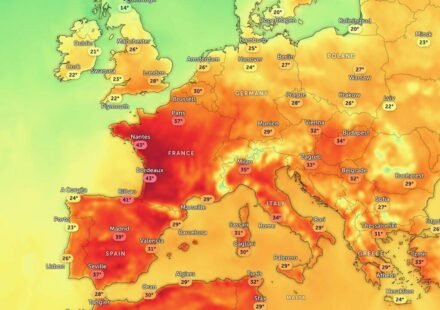 European heat wave: Heatwave over Europe brings travel disruption, health alerts, wildlife stress