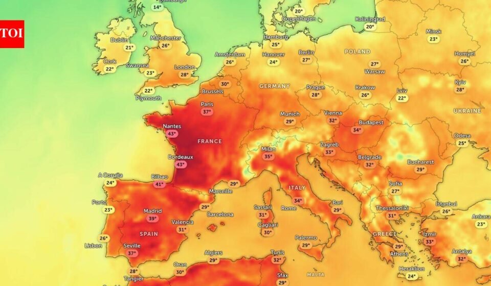 European heat wave: Heatwave over Europe brings travel disruption, health alerts, wildlife stress