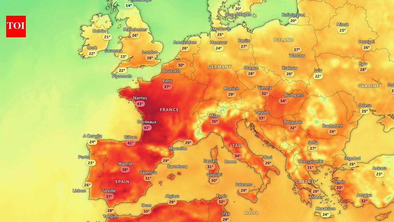 European heat wave: Heatwave over Europe brings travel disruption, health alerts, wildlife stress