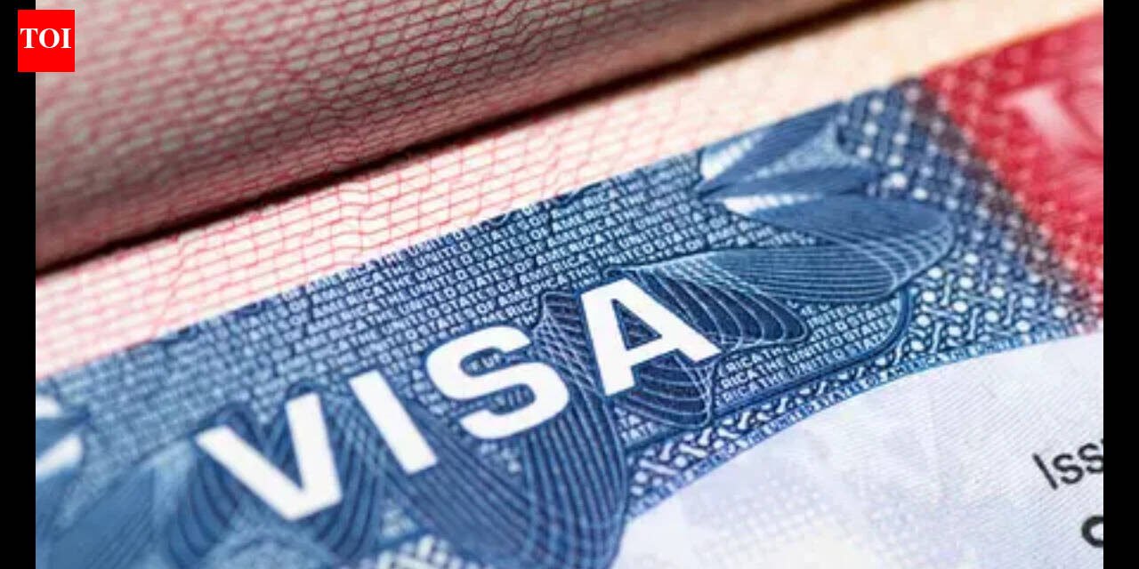 Expired visa stamps: Texas H-1Bs face driver license renewal denials due to 'new rules'