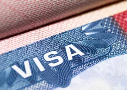 Expired visa stamps: Texas H-1Bs face driver license renewal denials due to 'new rules'