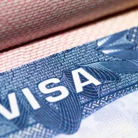 Expired visa stamps: Texas H-1Bs face driver license renewal denials due to 'new rules'