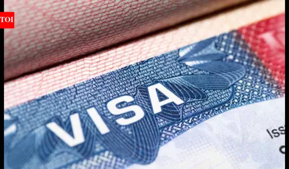 Expired visa stamps: Texas H-1Bs face driver license renewal denials due to 'new rules'