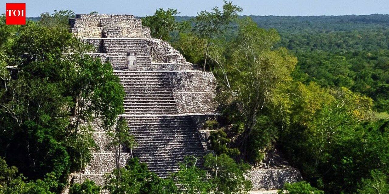 Forgotten Mexico City: A PhD student accidentally discovers a vast ancient civilization hidden beneath the jungle | World News