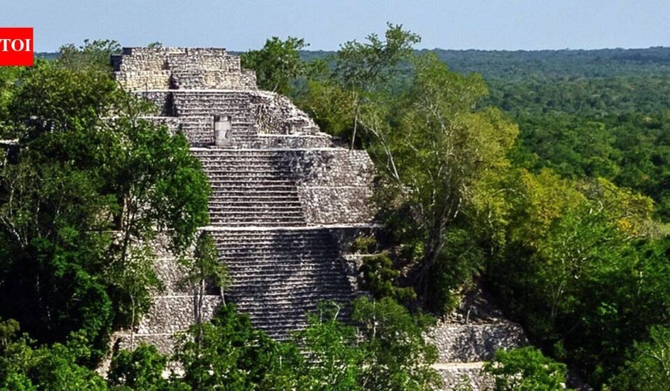 Forgotten Mexico City: A PhD student accidentally discovers a vast ancient civilization hidden beneath the jungle | World News