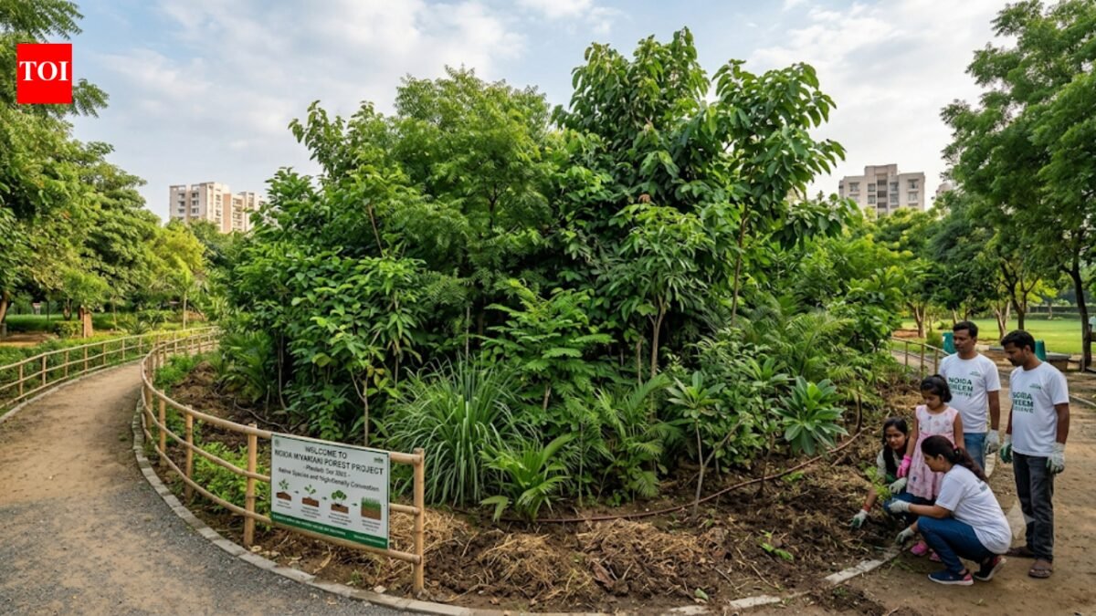 From Tokyo to Delhi: Rapid growth of 'Miyawaki forests' is reshaping global urban landscapes